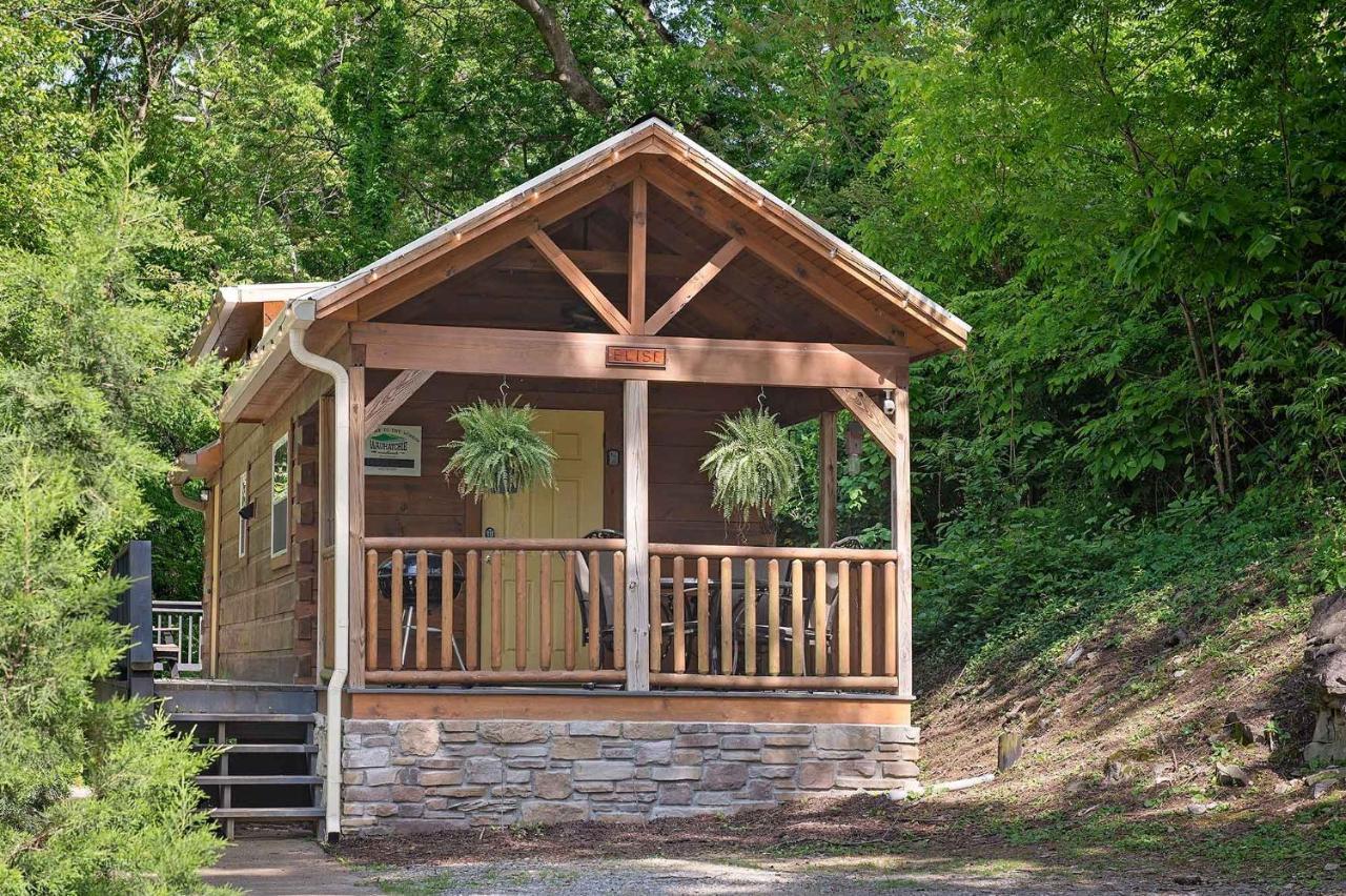 שאטאנוגה Elise Cabin Forest Retreat 5 Mins To Downtown מראה חיצוני תמונה
