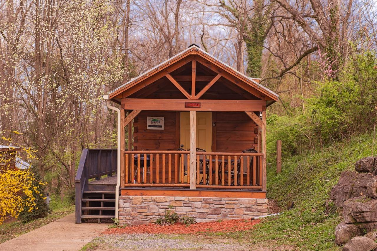 שאטאנוגה Elise Cabin Forest Retreat 5 Mins To Downtown מראה חיצוני תמונה