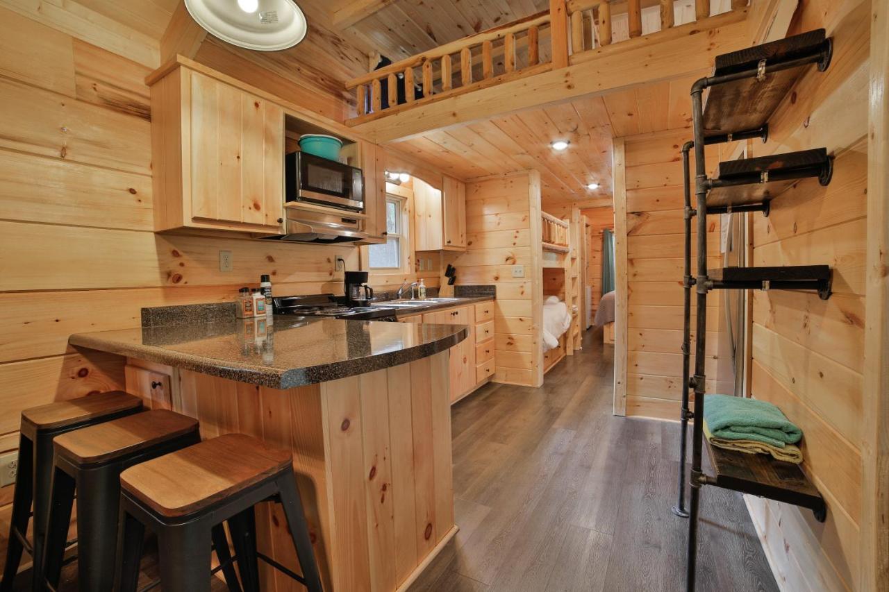 שאטאנוגה Elise Cabin Forest Retreat 5 Mins To Downtown מראה חיצוני תמונה