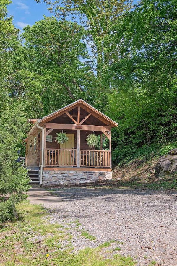 שאטאנוגה Elise Cabin Forest Retreat 5 Mins To Downtown מראה חיצוני תמונה